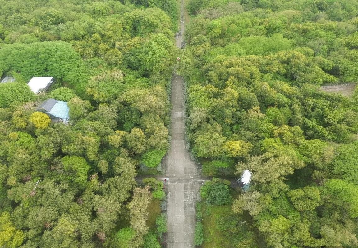 巴西国际VS瓦斯科：经典对决解析与未来展望(图2)